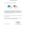k 911042 ZOOM EU DECLARATION OF CONFORMITY cert