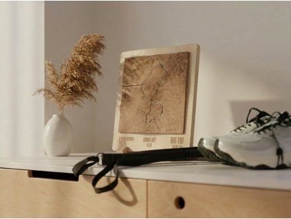 Firefly GeminiFlash replace the trophy for the one from second reference photo and boods from third 386136