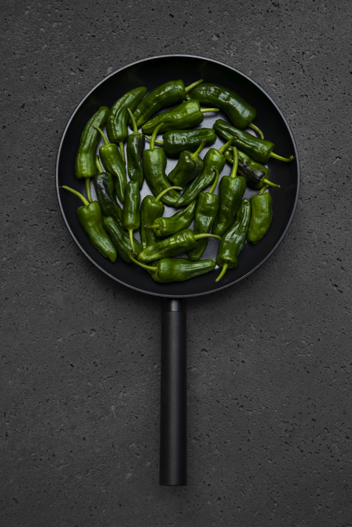 padron_01