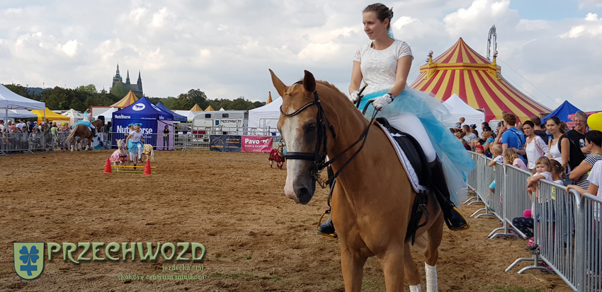 TraumaPet Ag na akci Dožínky na Letné 2018