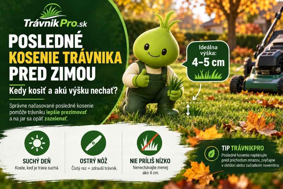 Kedy naposledy pokosiť trávnik pred zimou a akú výšku nechať?