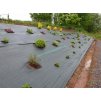 4626 3 eco pla tkana mulcovaci textilie 120g m2 50m x 1 65m 100 rozlozitelna
