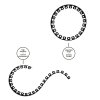 Obrubník zahradní Bradas EASY BORDER SET černý 10m x 4cm černý (3)
