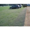 Zatravňovací rohož TENAX GP FLEX 1800 - 10 x 2m včetně 60ks u-pinů