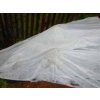 Netkaná textilie bílá proti mrazu 50g/m2, 50m x 1,6m - EXTRA SILNÁ