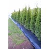 Tkaná textilie 100 g/m², agrotextilie 10m x 1,6m, hnědá