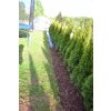 Tkaná textilie 100 g/m², agrotextilie 10m x 1,6m, hnědá