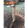 Pás na ochranu kmene stromu proti mrazu a zimnímu slunci – 100 % len, 10 cm × 10 mvyrp12 1882 tnjj