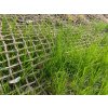 Kokosová rohož na zpevnění svahů JUTENON ECC 400 g/m² – 10 m × 2 m