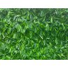 Umělý živý plot - neprůhledné pletivo 10m x 2m - 6