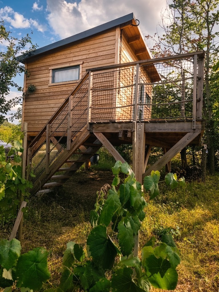 tree_house_blučina