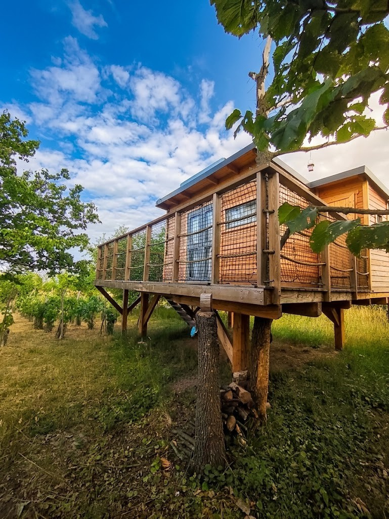 treehouse_blučina_jižní_morava