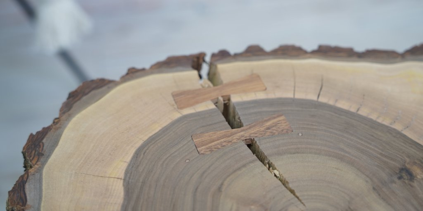 Všetko, čo vás zaujíma o orechovom dreve