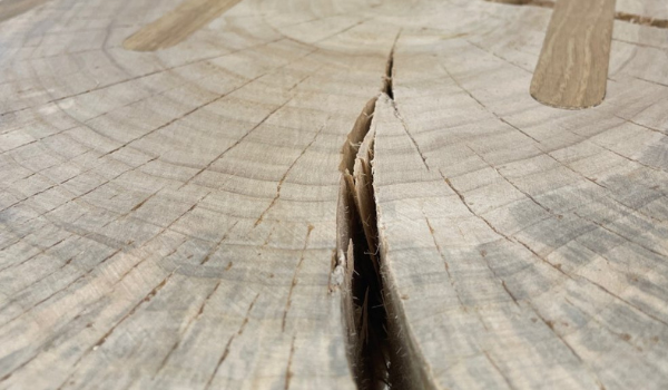 Praskol mi Treesome stolík, čo teraz?!