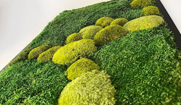 Machový obrázok, alebo trochu zelene u vás doma