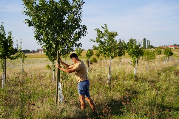 Brigada4