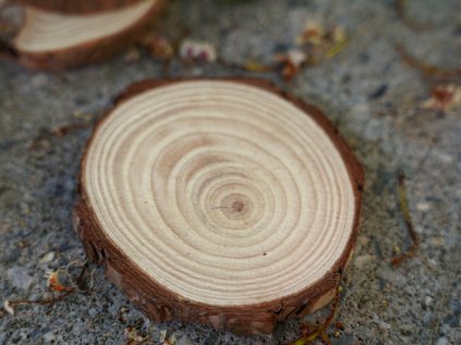Dřevěný přírodní podtácek