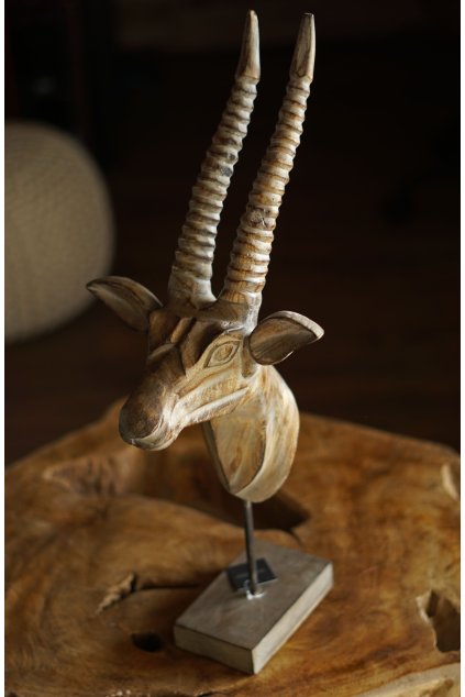 Socha Goat Mango