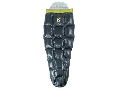 04616654BIRBUDGOOGRE 01