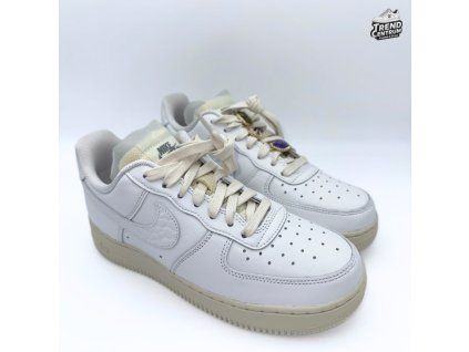 WMNS Nike Air Force 1 LO PRM DN5463 100