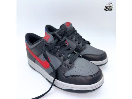Nike Dunk Low GS FV0373 001