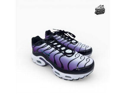 Nike Air Max Plus TN (GS) FQ2412 500