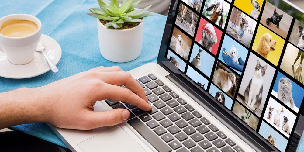 Jak vybrat správnou fotku?