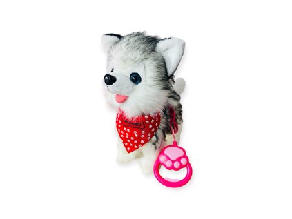 Chodiaci psík na vodítku Husky