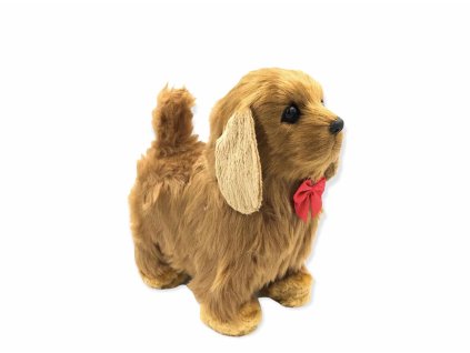 Interaktívny psík - Retriever