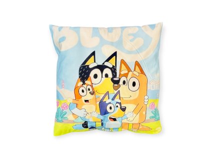 Bluey vankúš 45 x 45 cm