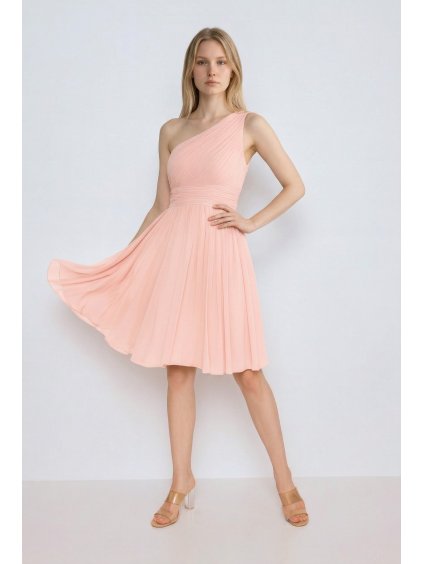 catia (Virtual Model)