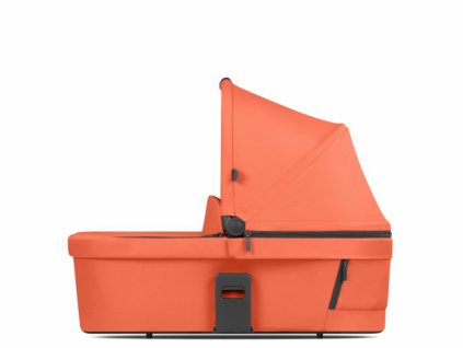 ABC Design Carrycot carrot 2024 - hluboká korba pro Salsa Run, Samba, Zoom