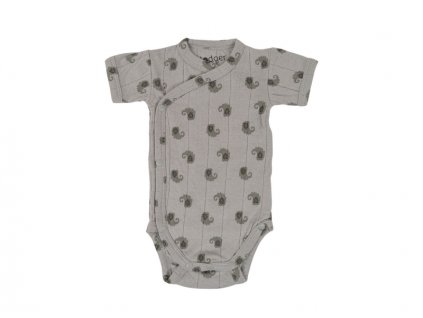 Lodger Romper SS Flame Tribe Mist 62