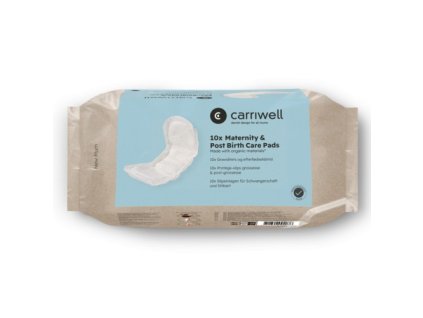 nm 920700 10xmaternityandpostbirthcarepads 3d