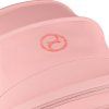 CYB 26 INT Deta MelioCarbon CAPI Logo Canopy print medium
