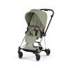 CYB 26 INT y045 Mios CHBR SAGR Style print medium