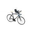 Thule RideAlong Mini Light Grey