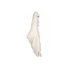 Lodger Bunker Teddy Off White
