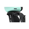 Thule Yepp Nexxt 2 Maxi FM Mint
