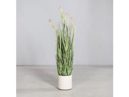 164657 Product