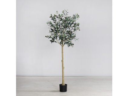 132009 Product 2048x2048