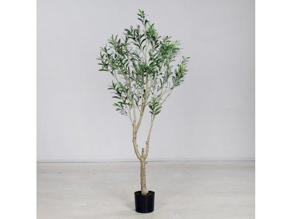 160655 Product