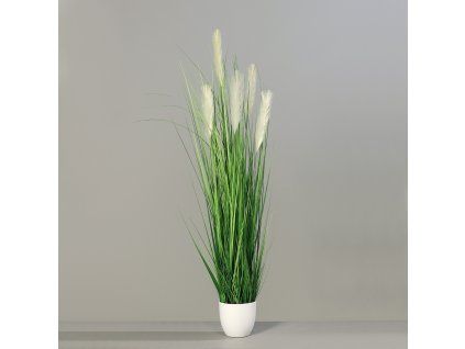 118209 Product