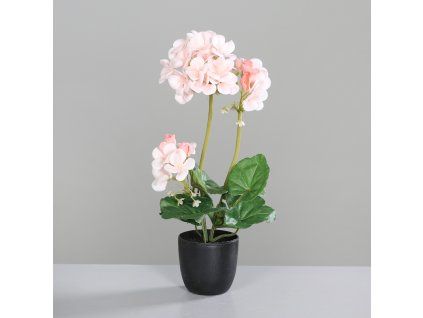 194045 Product