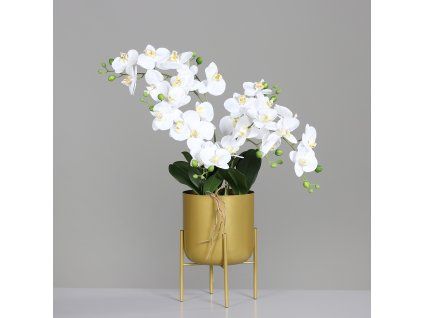 126847 Product