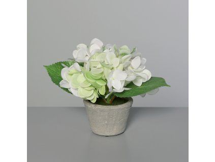 118203 Product