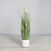 164657 Product
