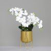 126847 Product