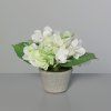 118203 Product