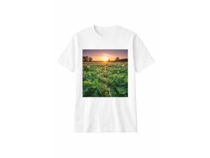 ChatGPT Image 21. 1. 2026 08 01 01